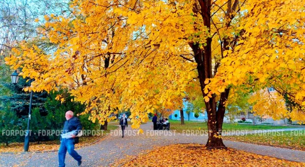 Новости Крыма - 