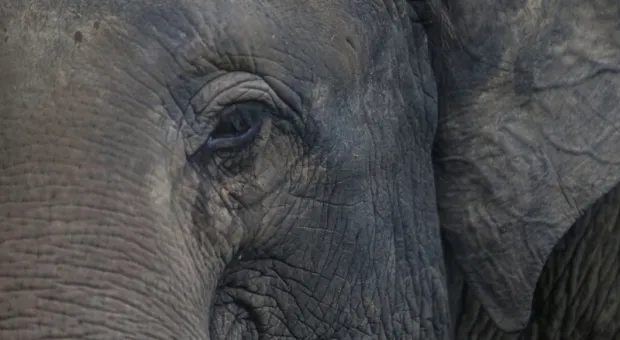 Мировые новости - В 2026 году в Севастополь поступят деньги на большой мемориальный проект