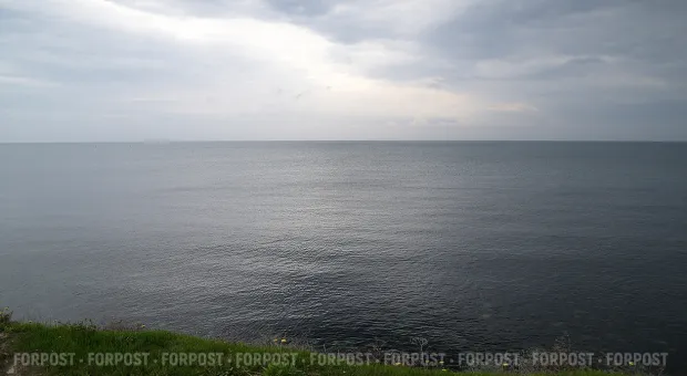 Новости Севастополя - Предприимчивая крымчанка два года зарабатывала на несуществующей уборке мусора