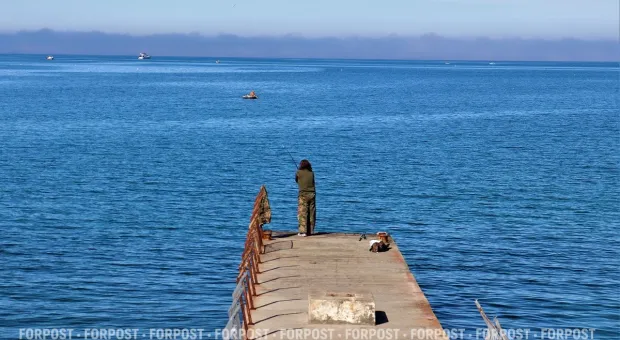 Новости Севастополя - Скандальное повышение утильсбора на автомобили отложили