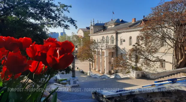 Новости Севастополя - В Севастополе может появиться новая партия
