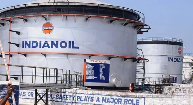 Мировые новости - Севастопольский винодел Павел Швец рассказал, как стал жертвой бешеной куницы