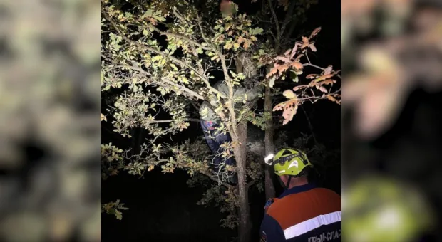 Новости Крыма - В Севастополе ребёнок сжёг автомобиль