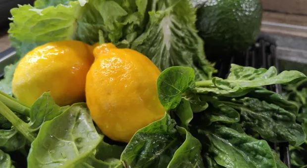 Новости Севастополя - Необычного «китайца» предложили поселить в столичном парке Крыма