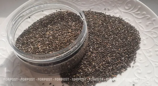 Новости России - Хирург предупредил: нельзя есть семена чиа в сухом виде