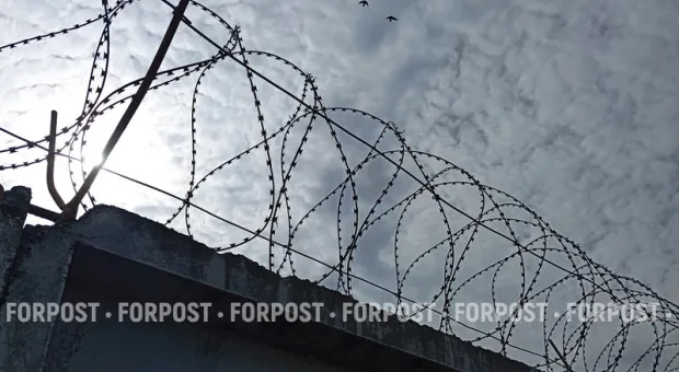 Новости Севастополя - Житель Севастополя пытался оправдать удушение матери вилкой в её руке