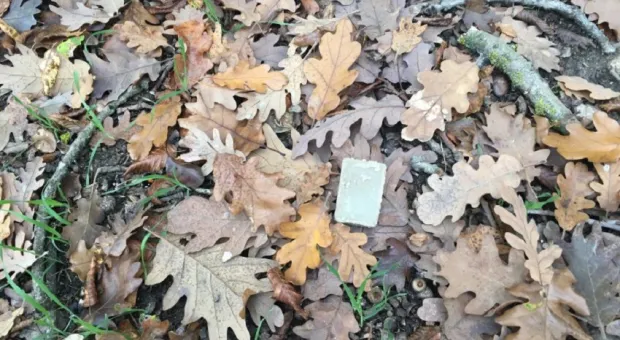 Новости Севастополя - Как Матрос Кошка появился на выставке в Севастополе