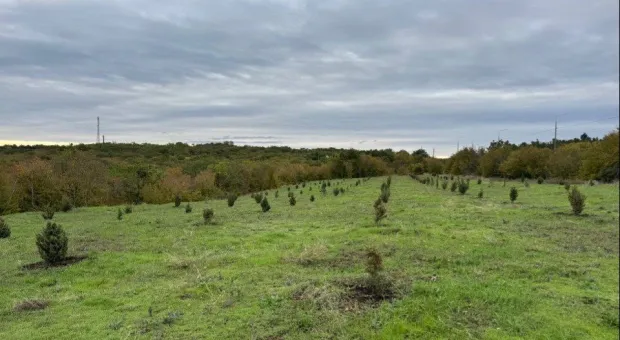 Новости Севастополя - Севастополь защитят несколькими тысячами тайных брусочков