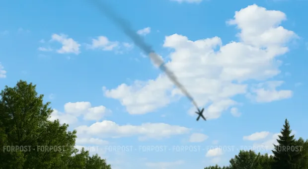 Новости Крыма - Как погода сказалась на качестве крымского вина