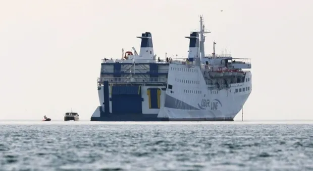 Мировые новости - Улетающих из Японии будет провожать Годзилла