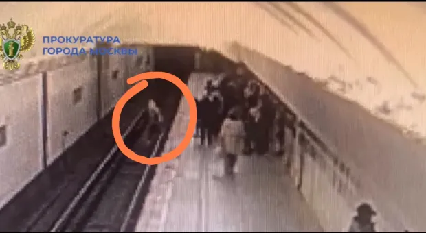 Новости России - Полпред Жога обсудил создание брачного агентства для бойцов СВО