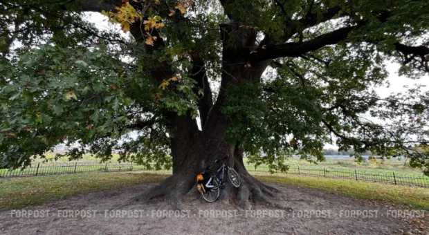 Новости Крыма - 