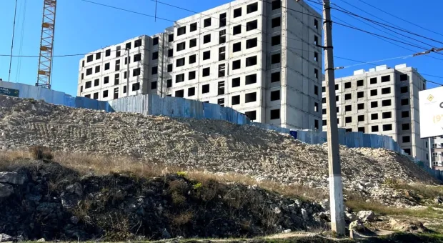 Новости Севастополя - Чтобы защитить виноградники, Севастополю приходится просить… меньше ограничений