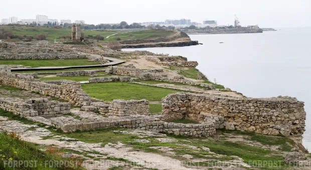 Новости Севастополя - #Севсети 702. Барская любовь, встреча с Путиным и 100 оттенков алого