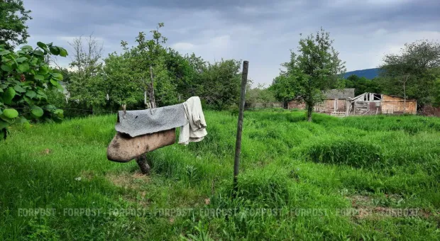 Новости Севастополя - Дачная амнистия в Севастополе будет продлена