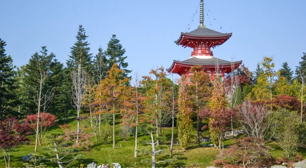 Новости России - Ушакову балку раззаборили, не успев озаборить 