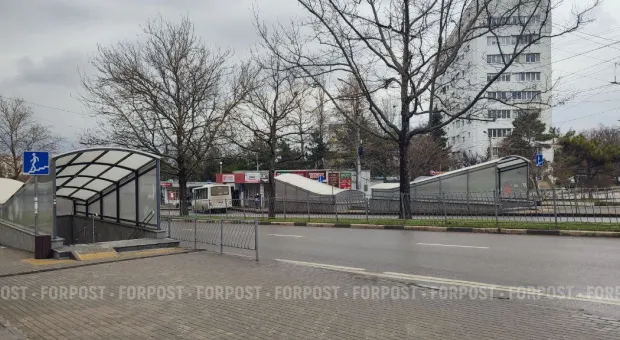 Новости Севастополя - «Отчаянная» домохозяйка: жительница Севастополя готова стать губернатором