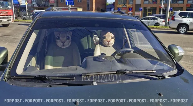 Новости Севастополя - Украинский ЦИПсО пытается вбить клин между севастопольцами и Черноморским флотом 