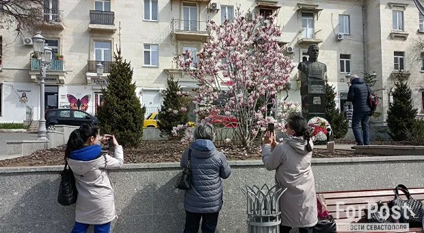 Новости Севастополя - В Севастополе сгорел еще один автомобиль