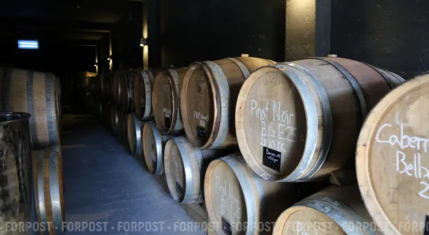 Новости Севастополя - В крымском виноделии наступила эпоха больших денег