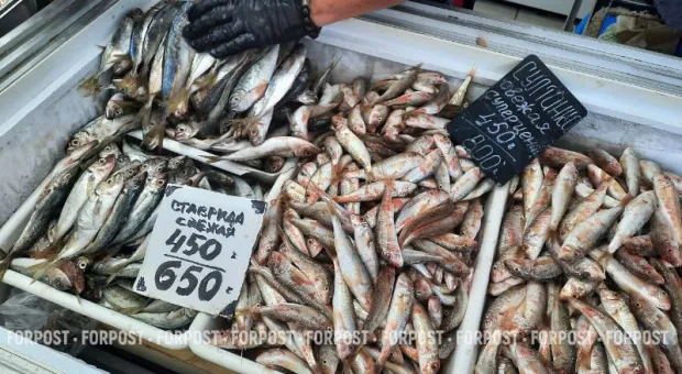 Новости Крыма - Крым простился с тремя молодыми участниками спецоперации