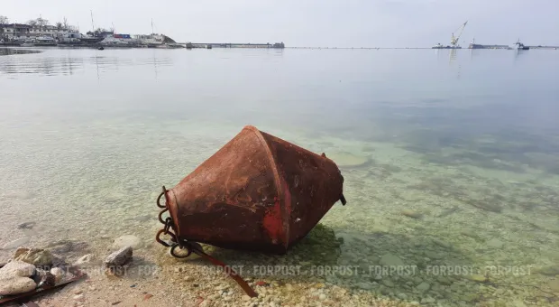 Новости Севастополя - Севавтодор разживётся техникой для нацпроекта