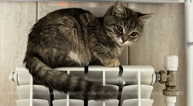 Новости Севастополя - В студии ForPost – организаторы Севастопольского большого офицерского бала