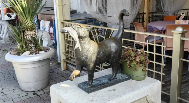 Новости Севастополя - Определён подрядчик строительства онкодиспансера в Севастополе 