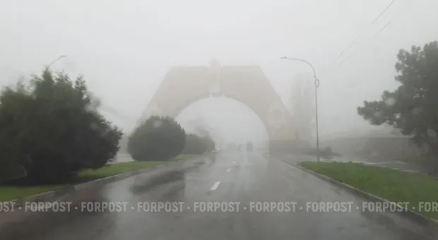 Новости Севастополя - СевСети #720. Космонавт Гагарин и танцор Полунин, мёртвые дельфины и живые павлины 