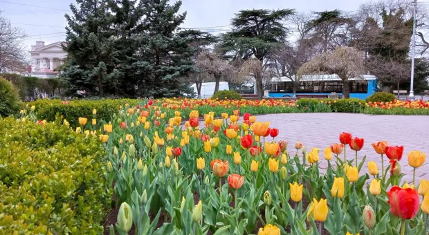 Новости Севастополя - Севсети #722. Пожар в соборе Парижской Богоматери и инопланетное вторжение