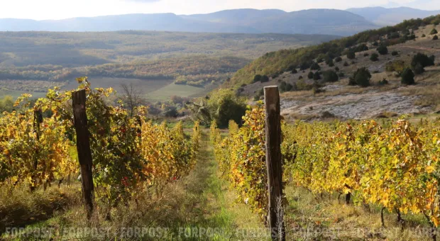 Новости Севастополя - В Севастополе начнут раздавать бесплатную землю
