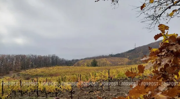 Новости Крыма - Синоптики обещают теплую погоду в Севастополе до конца недели