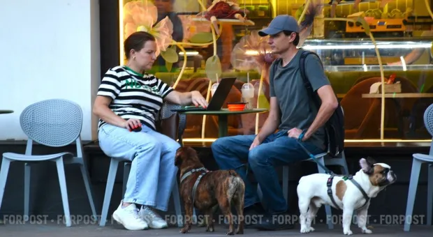 Новости Севастополя - В Севастополе лечат дерево немецкого ученого, служившего России