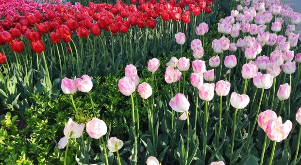 Мангуп-Кале — последний осколок Византийской империи в Крыму