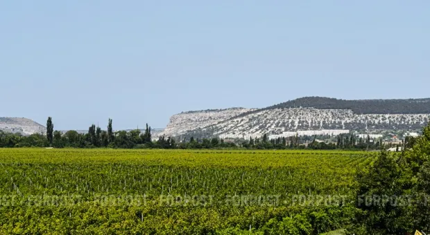 Новости Севастополя - 