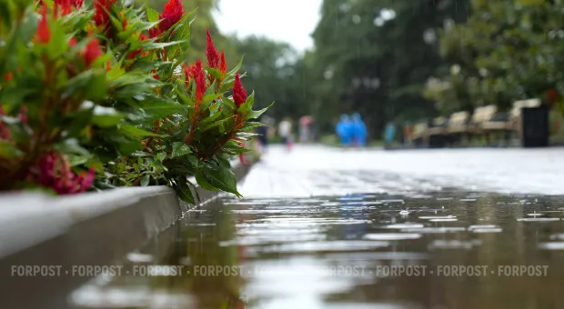 Новости Севастополя - Житель Севастополя хранил в квартире взрывчатку из леса