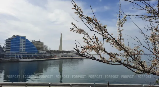 Новости Севастополя - В Севастополе за ремонт детсада дали два года