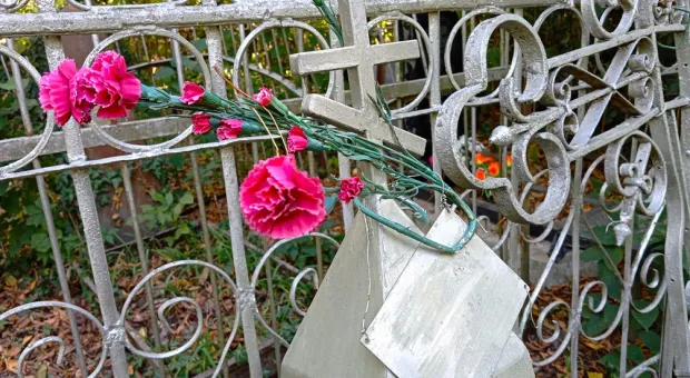 Новости Севастополя - Севастополю грозит волна безналичных мошенничеств 