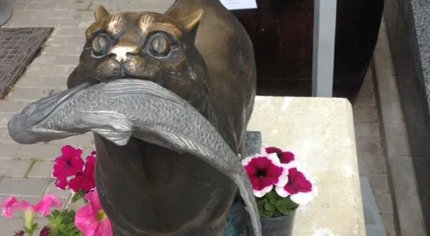 Новости Севастополя - Губернатор Севастополя экстренно госпитализирован 