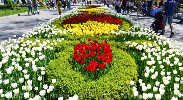 Новости Севастополя - В Москве состоится салют в честь 75-летия освобождения Севастополя 