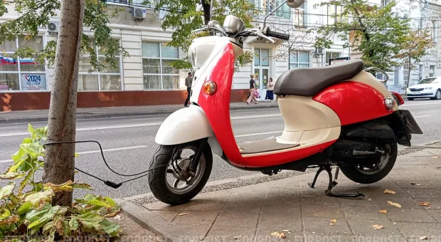 Новости Севастополя - Дерево у Соловьёвского рынка в Севастополе упало повторно