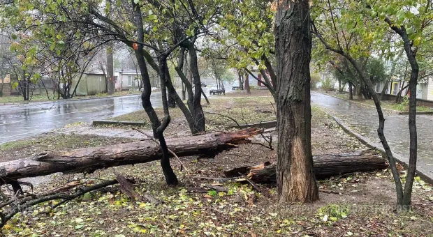 Новости Севастополя - Российскую молодежь воспитывают по бесполезным программам – омбудсмен Кузнецова 