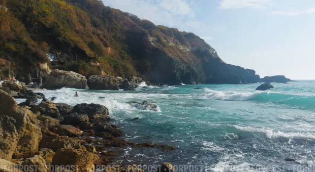 Новости Севастополя - В акваторию Севастополя занесло опасного корейца