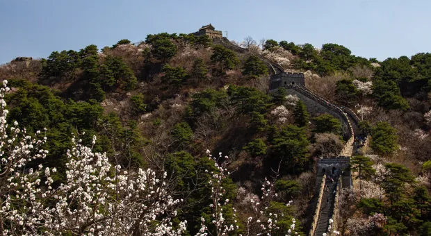 Новости Севастополя - 