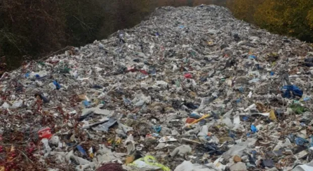 Мировые новости - Персональные мусорные микрополигоны появляются в Севастополе 