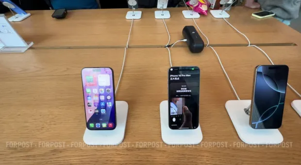 Новости Севастополя - Пони-хулиганы объели клумбы и едва не перекрыли въезд в Ялту