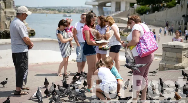 Новости Севастополя - Жителей Севастополя просят рассказать о проблемах в ЖКХ