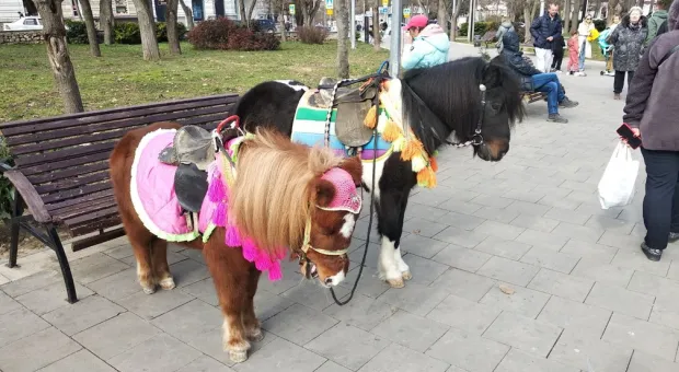 Новости Севастополя - Нешуточные игры