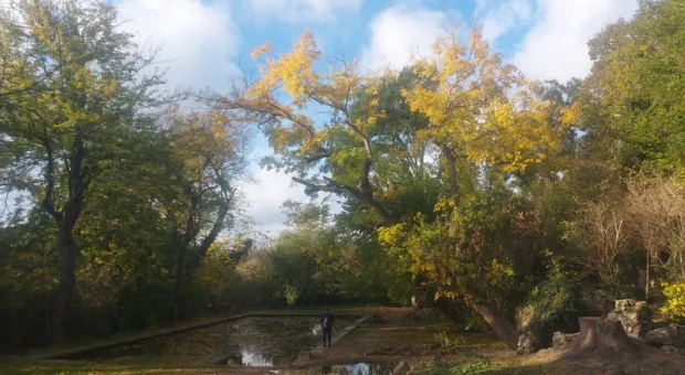 Новости Севастополя - Дороге напротив Воронцовского рынка в Севастополе срочно требуется лежачий полицейский. Жители устали от постоянных аварий