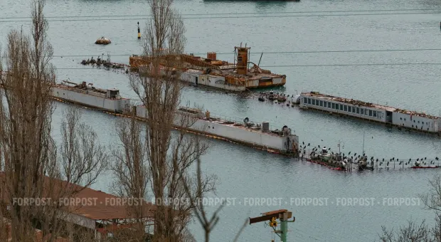 Новости Севастополя - 